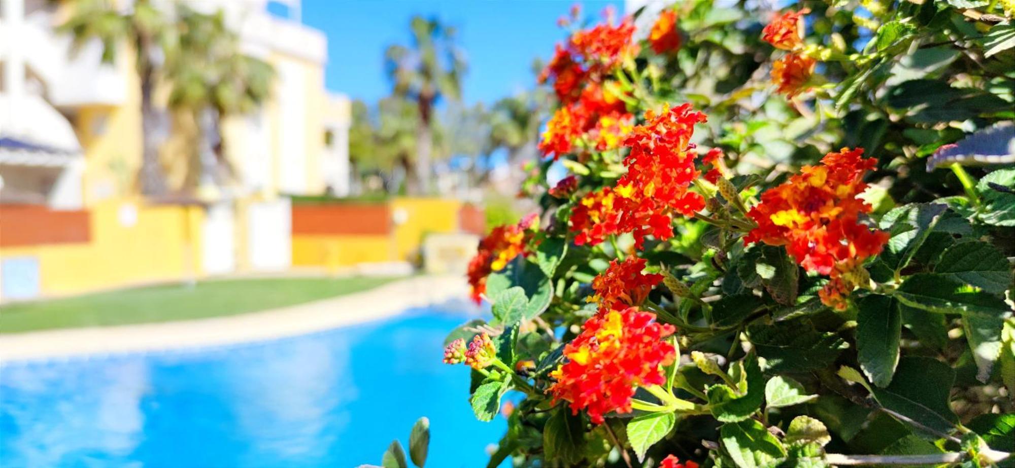 Apartamento Playa Sol By Denia Costa Exterior foto