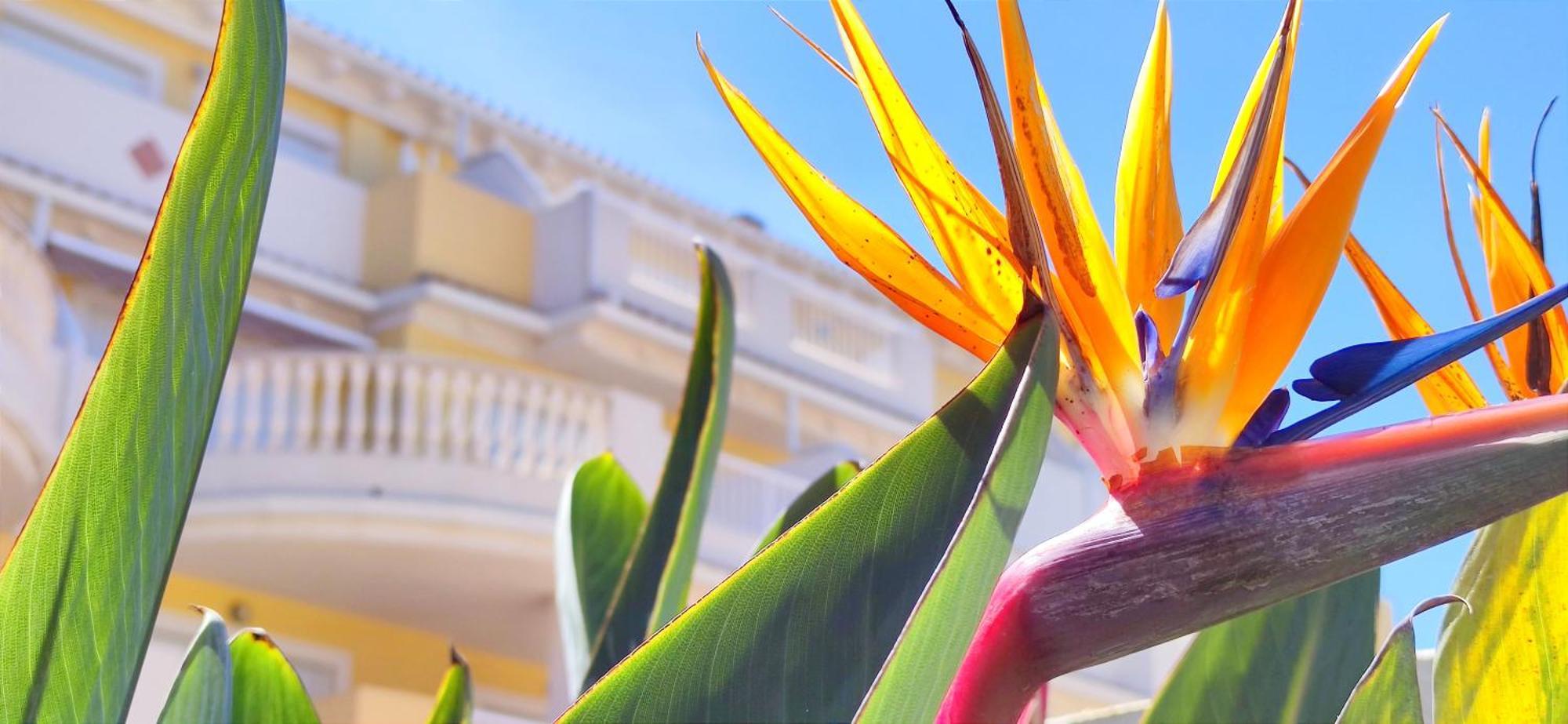 Apartamento Playa Sol By Denia Costa Exterior foto